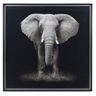 Quadro Elefante Cinza 120x120cm