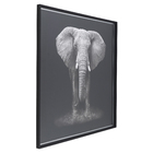 Quadro Elefante Cinza 120x120cm