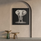 Quadro Elefante Cinza com Vidro 120x120cm Arte Própria