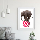 Quadro Elefante De Circo - 60x48cm Moldura:madeira Preta