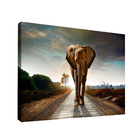 Quadro Elefante Fabuloso -- Br Artes