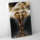 Quadro Elefante Lua Cheia - 1 Tela