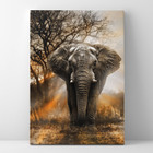 Quadro Elefante Selva - 1 Tela