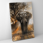 Quadro Elefante Selva - 1 Tela