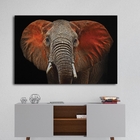 Quadro Elefante Vermelho - 1 Tela Estampado
