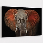 Quadro Elefante Vermelho - 1 Tela Estampado
