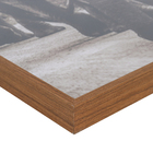 Quadro Elefantes Marrom com Vidro 60x90cm Tropical