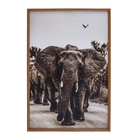 Quadro Elefantes Marrom com Vidro 60x90cm Tropical
