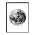 Quadro Em Mdf 14224-2 Mart