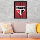 Quadro Escudo São Paulo Fc 24x18cm - Com Vidro Moldura:madeir