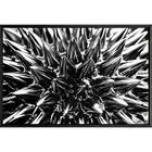 Quadro Espinhos Cromados 70x50 - Casa Da Moldura