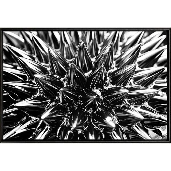 Quadro Espinhos Cromados 70x50 - Casa Da Moldura