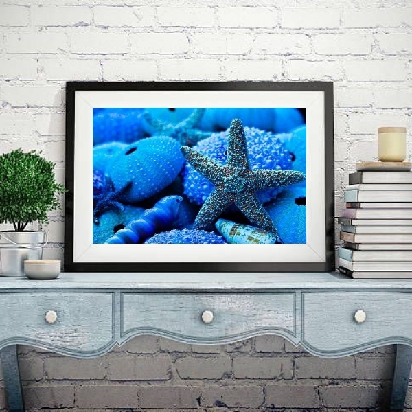 Quadro Estrela Do Mar Azul Intenso - 60x48cm Moldura:madeira