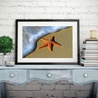 Quadro Estrela Do Mar Na Praia - 60x48cm Moldura:madeira Preta
