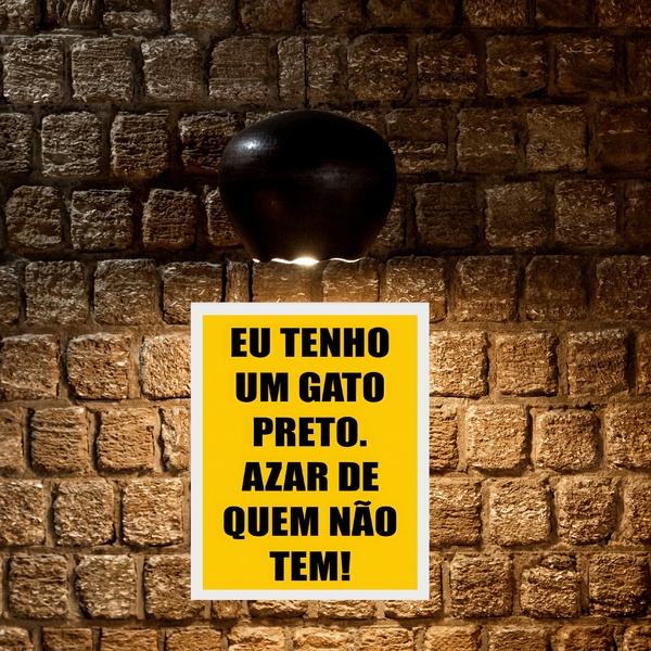 Quadro Eu Tenho Um Gato Preto Azar De Quem Não Tem 45x34cm Mo