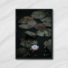 Quadro Flor De Lotus 45x34cm - Com Vidro Moldura:madeira Preta