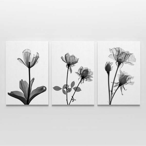 Quadro Flor Em Raio X Branco - Kit 3 Telas Estampado