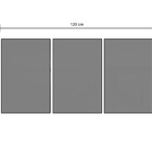 Quadro Flor Em Raio X Branco - Kit 3 Telas Estampado