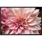 Quadro Flor Rosa 120x80 - Casa Da Moldura