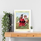 Quadro Flor Vermelha Com Passarinho 33x24cm - Com Vidro Moldu