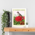 Quadro Flor Vermelha E Passarinho 24x18cm - Com Vidro Moldura