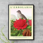 Quadro Flor Vermelha E Passarinho 45x34cm Moldura Preta