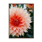 Quadro Floral Rosa com Vidro 50x70cm Arte Própria