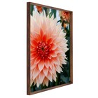 Quadro Floral Rosa com Vidro 50x70cm Arte Própria