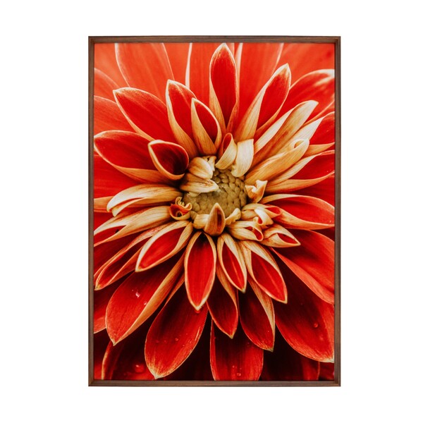 Quadro Floral Vermelho com Vidro 50x70cm Arte Própria