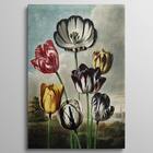 Quadro Flores - 1 Tela