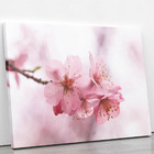 Quadro Flores De Cerejeira Rosa Sakura Foto Canvas 140x90cm