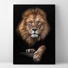 Quadro Foco Do Leão - 1 Tela