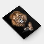 Quadro Foco Do Leão - 1 Tela