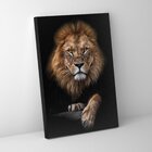 Quadro Foco Do Leão - 1 Tela