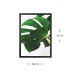 Quadro Folhagem Com Vidro 50x70cm Belchior