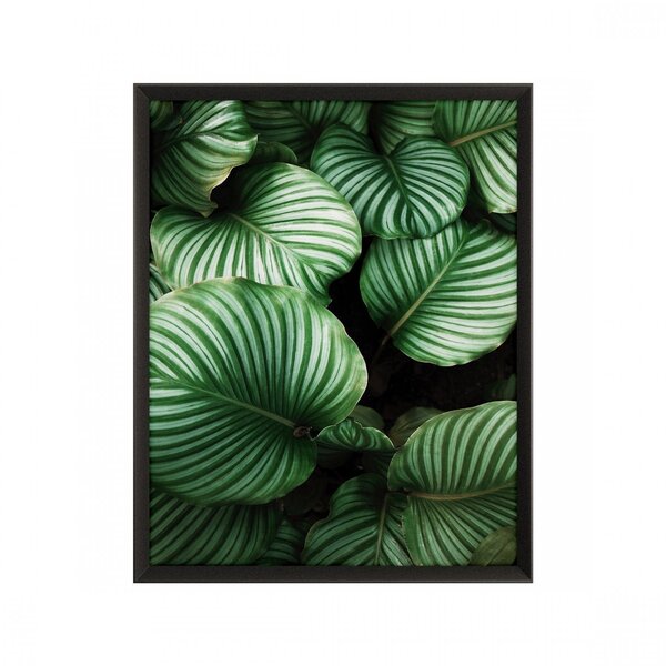 Quadro Folhagem Com Vidro 50x70cm Belchior