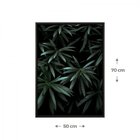 Quadro Folhagem Com Vidro 50x70cm Belchior