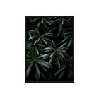 Quadro Folhagem Com Vidro 50x70cm Belchior