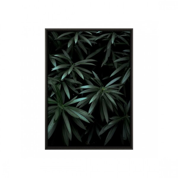 Quadro Folhagem Com Vidro 50x70cm Belchior