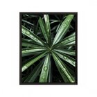 Quadro Folhagem Com Vidro 50x70cm Belchior