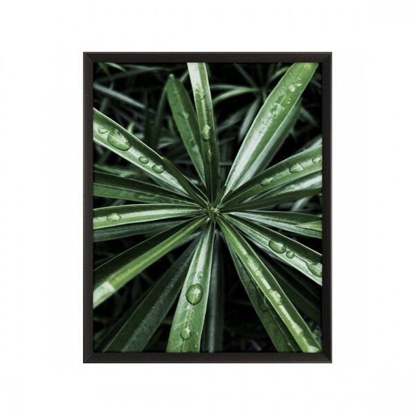 Quadro Folhagem Com Vidro 50x70cm Belchior