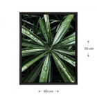 Quadro Folhagem Com Vidro 50x70cm Belchior