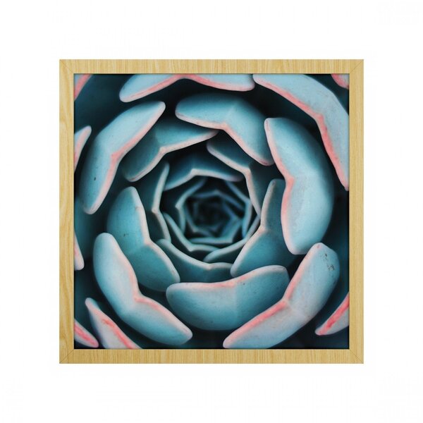 Quadro Folhagem Sem Vidro 30x30cm Belchior