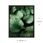 Quadro Folhagem Sem Vidro 50x70cm Belchior