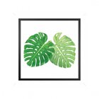 Quadro Folhagem Sem Vidro 60x60cm Belchior