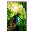 Quadro Folhagem Verde com Vidro 120x80cm Arte Própria