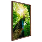 Quadro Folhagem Verde com Vidro 120x80cm Arte Própria