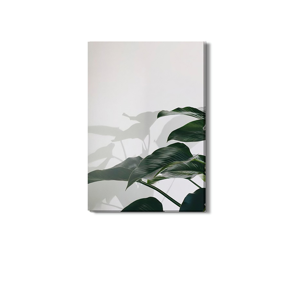Quadro Folhas De Planta Fotografia Sombra Canvas 120x80cm