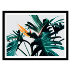 Quadro Folhas II Verde 60x80cm