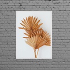 Quadro Folhas Leque Secas Marrom 45x34cm Moldura:madeira Preta